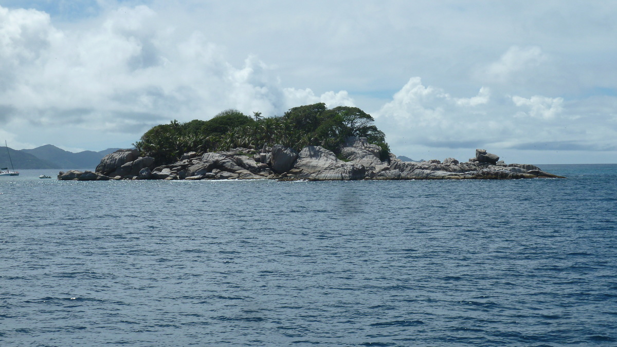 รูปถ่าย เซเชลส์(Seychelles) เกาะโกโก้(Coco Island) 2011-10 32