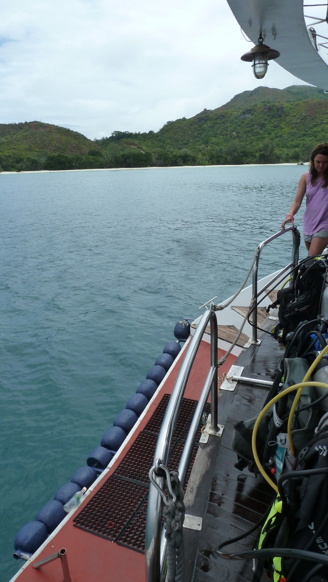 รูปถ่าย เซเชลส์(Seychelles) ซีสตาร์(Sea Star) 2011-10 55