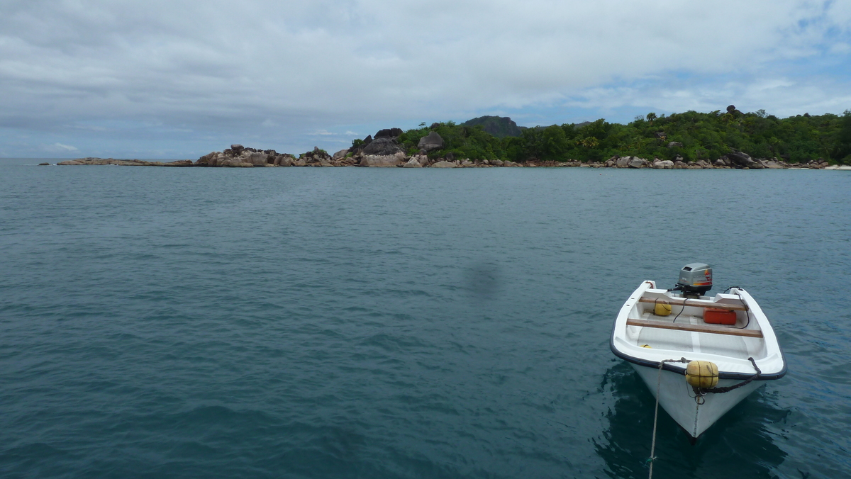 รูปถ่าย เซเชลส์(Seychelles) ซีสตาร์(Sea Star) 2011-10 12