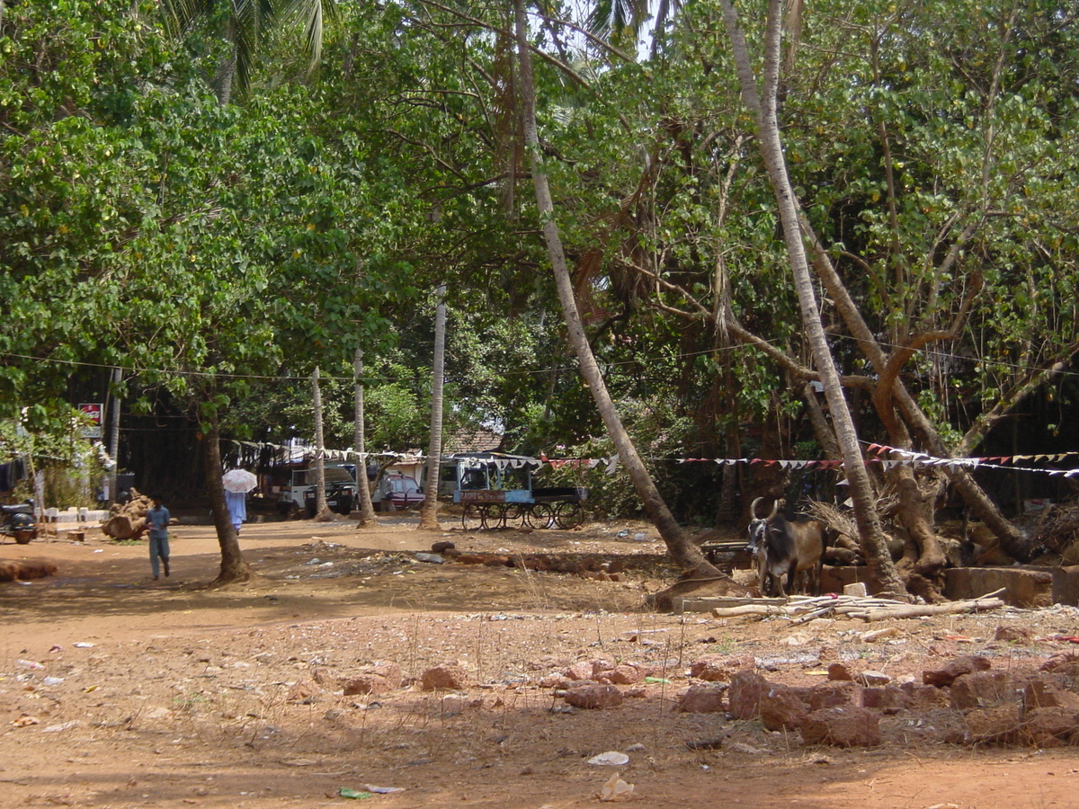 รูปถ่าย อินเดีย(India) กัว(Goa) 2003-05 23