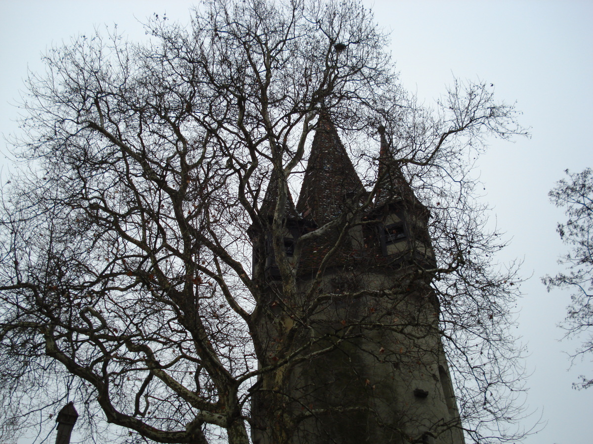 รูปถ่าย เยอรมนี(Germany) ลินโด(Lindau) 2007-01 8