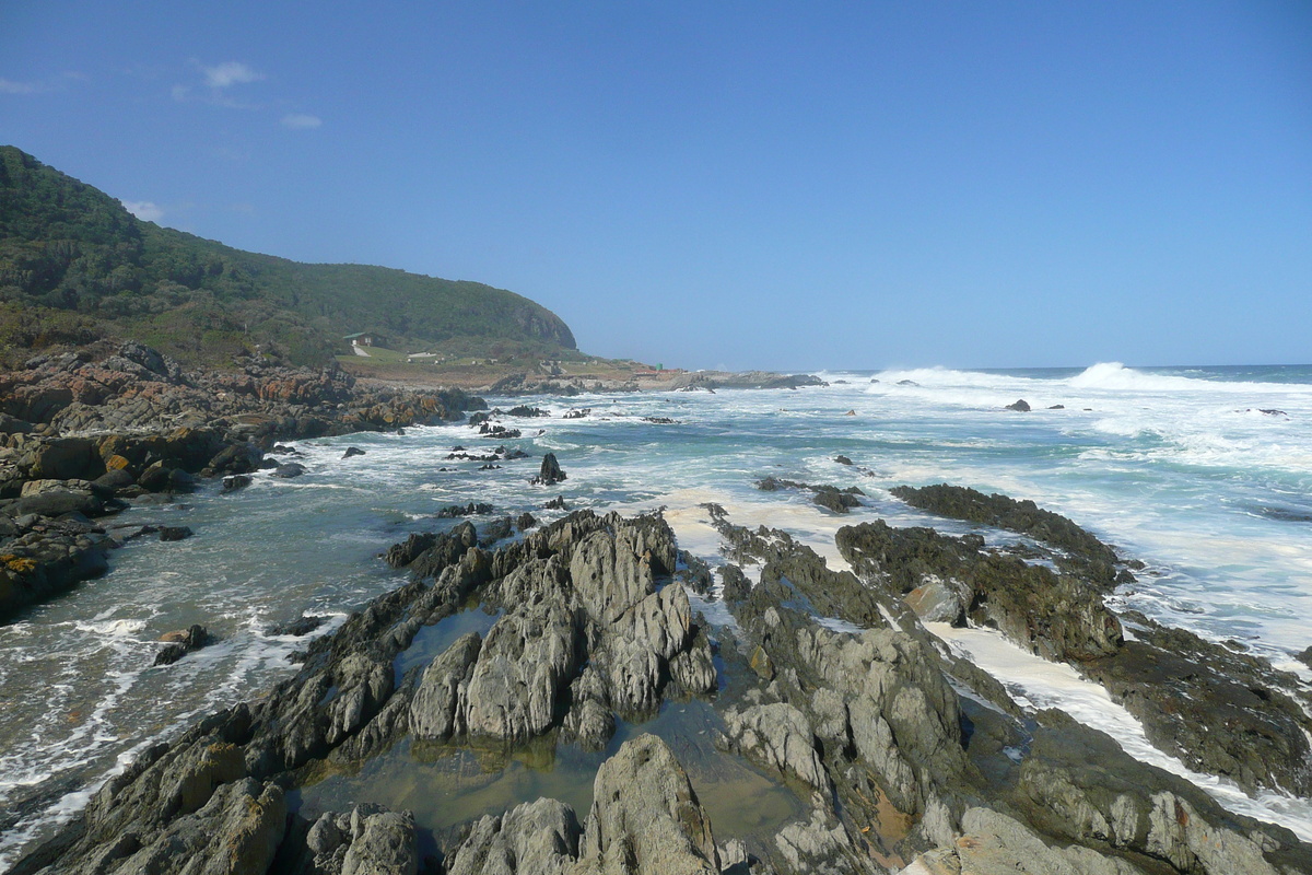 รูปถ่าย แอฟริกาใต้(South Africa) อุทยานแห่งชาติซิตซิคัมมา(Tsitsikamma National Park) 2008-09 212