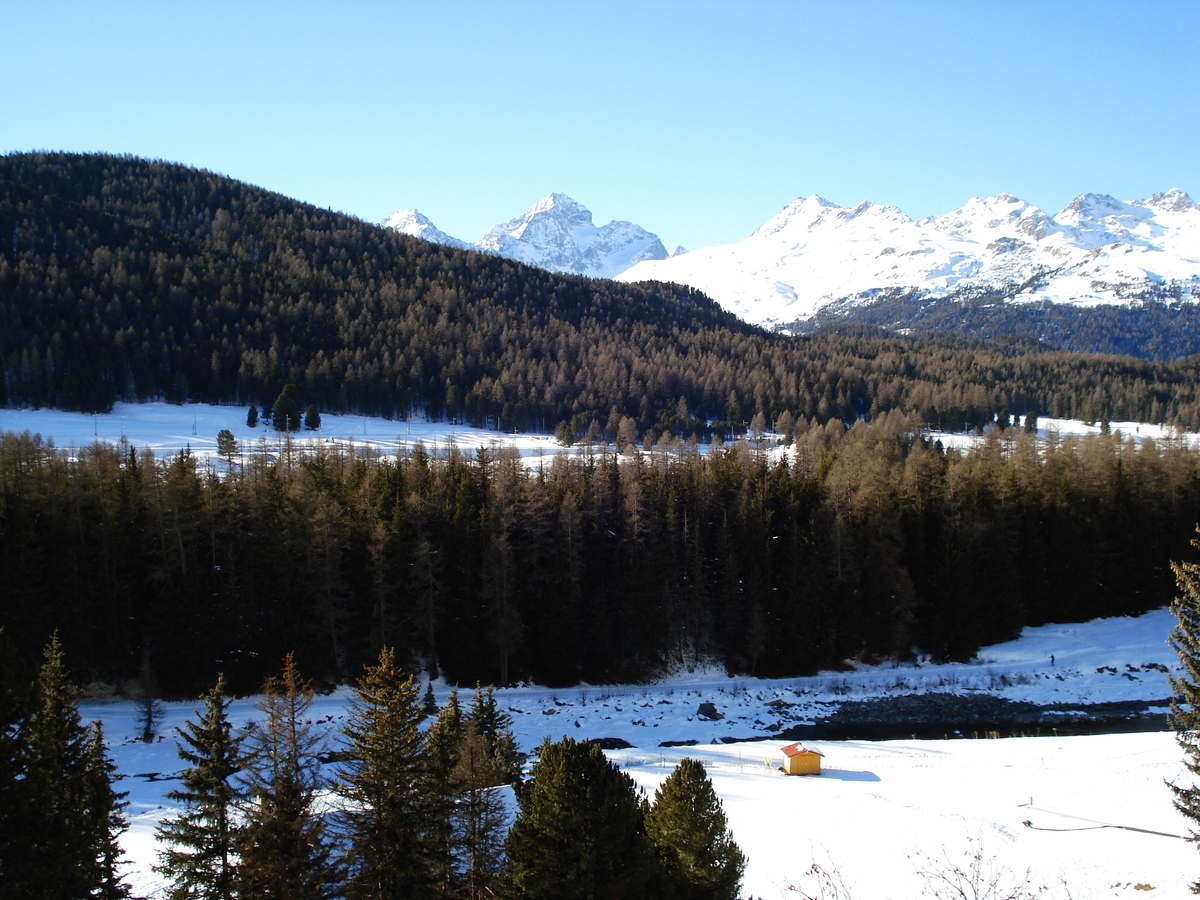 รูปถ่าย สวิสเซอร์แลนด์(Switzerland) ปองเทรซีน่า(Pontresina) 2007-01 84