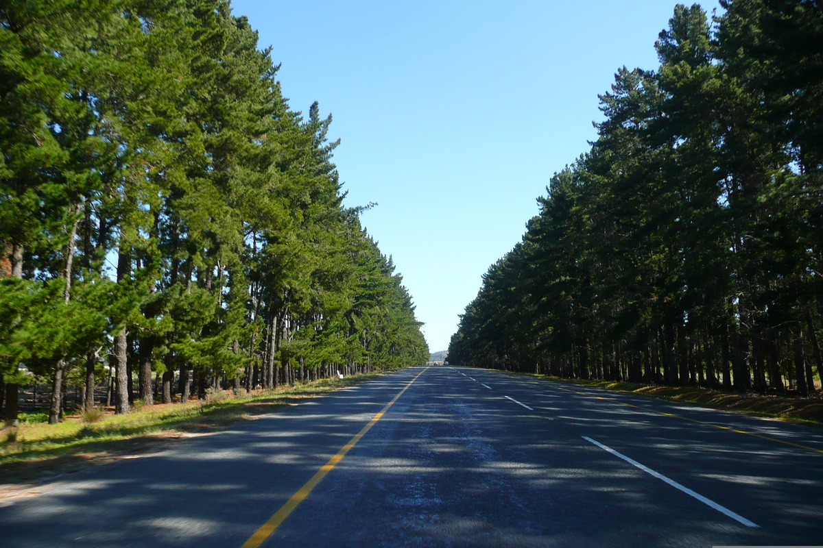 รูปถ่าย แอฟริกาใต้(South Africa) ถนนจากเคปทาวน์ไปเฮอร์มานัส(Cape Town to Harmanus road) 2008-09 29