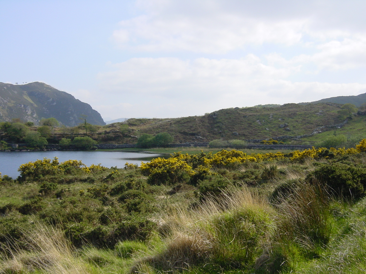 รูปถ่าย ไอร์แลนด์(Ireland) เคอร์รี่(Kerry) ทะเลสาบคารา(Caragh Lake) 2004-05 42