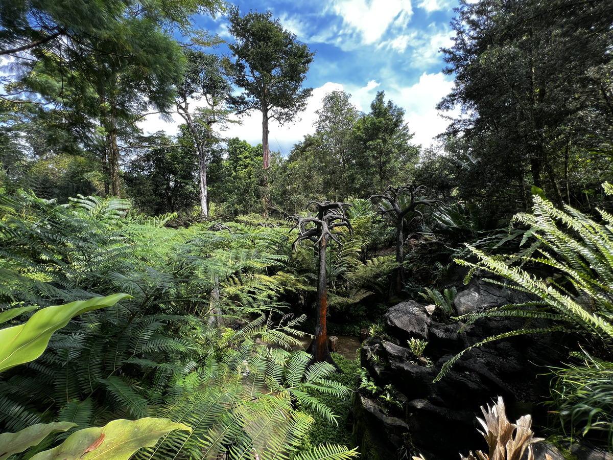 รูปถ่าย สิงคโปร์(Singapore) สวนพฤกษศาสตร์สิงคโปร์(Singapore Botanic Gardens) 2023-01 87