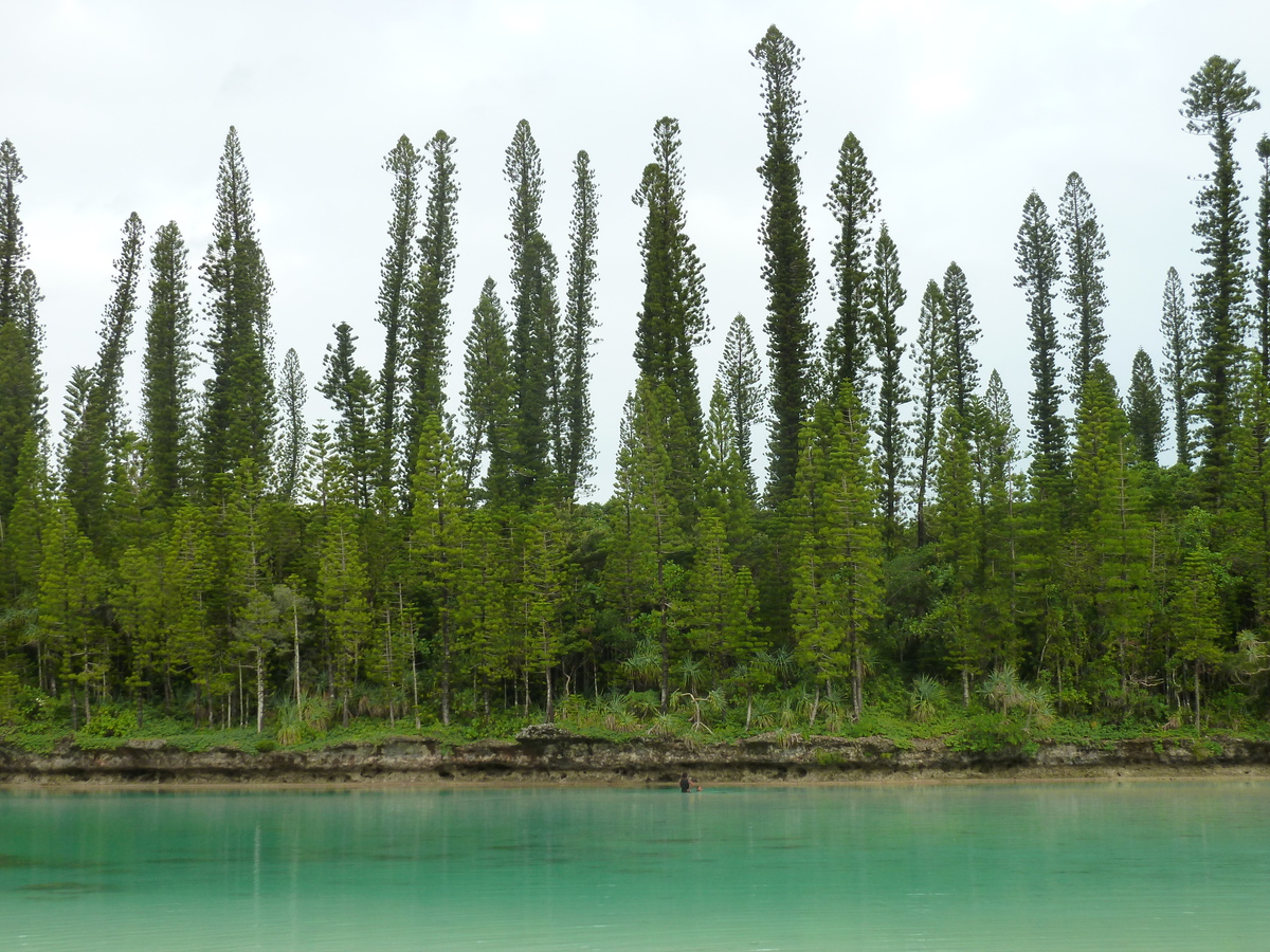 รูปถ่าย นิวแคลิโดเนีย(New Caledonia) เกาะต้นสน(Ile des pins) อ่าวโอโร(Oro Bay) 2010-05 44