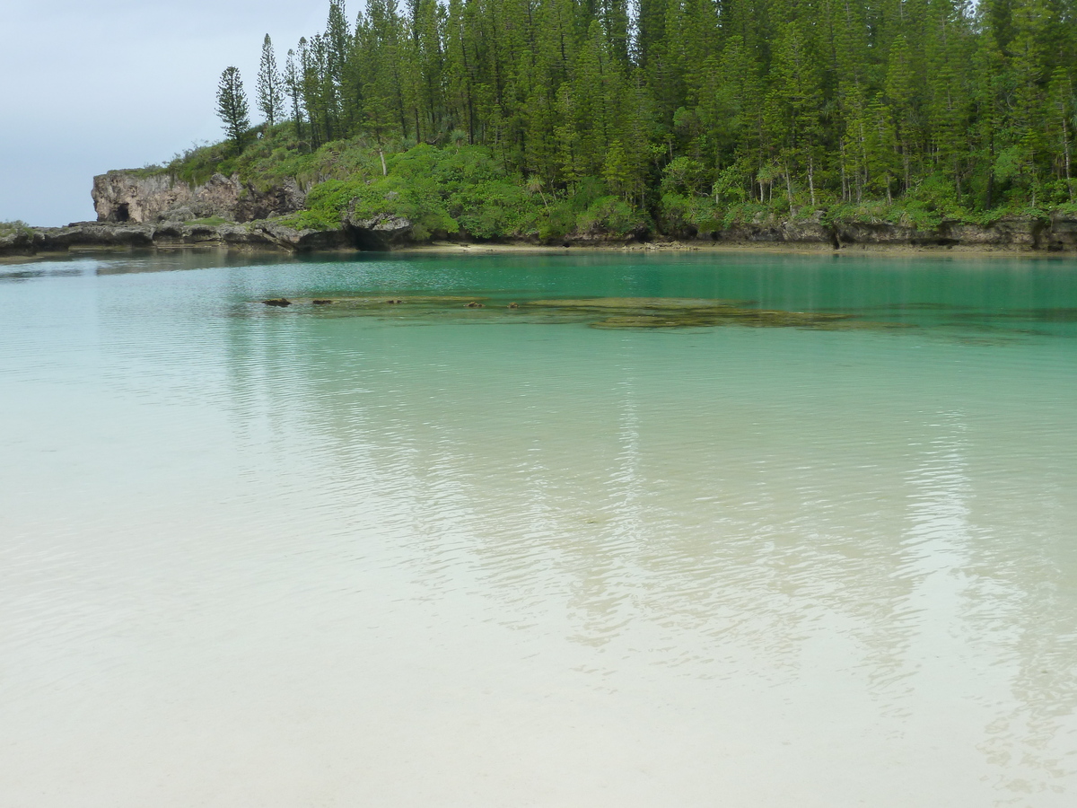 รูปถ่าย นิวแคลิโดเนีย(New Caledonia) 2010-05 41
