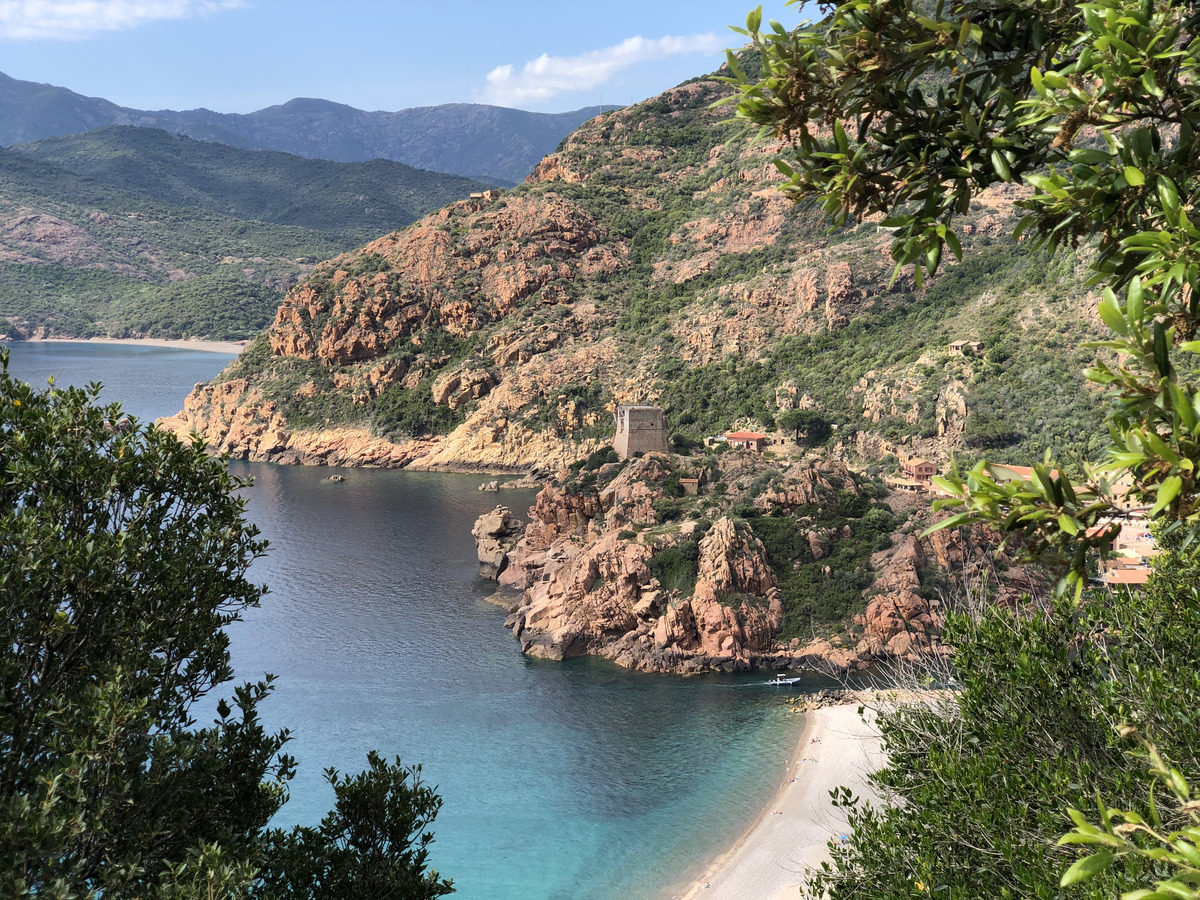 รูปถ่าย ฝรั่งเศส(France) คอร์สิคา(Corsica) 2021-05 51