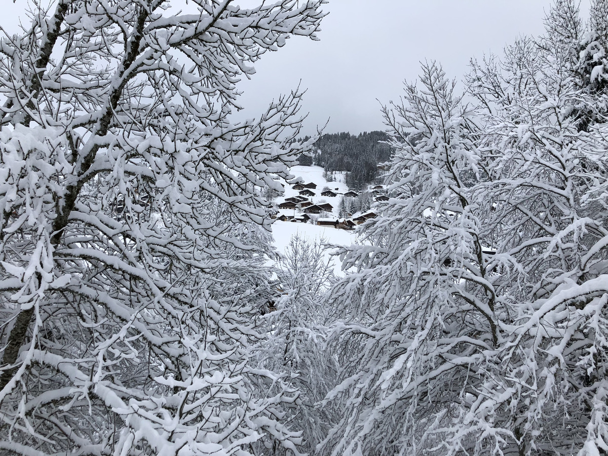 รูปถ่าย ฝรั่งเศส(France) ลากลูซา(La Clusaz) 2017-12 280