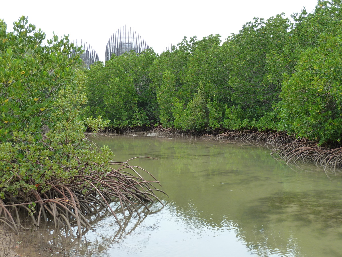 รูปถ่าย นิวแคลิโดเนีย(New Caledonia) ศูนย์วัฒนธรรมฌีบาอู(Tjibaou Cultural Centre) 2010-05 36