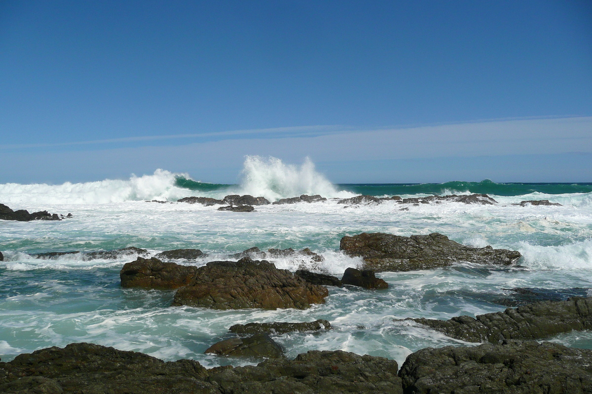 รูปถ่าย แอฟริกาใต้(South Africa) อุทยานแห่งชาติซิตซิคัมมา(Tsitsikamma National Park) 2008-09 259