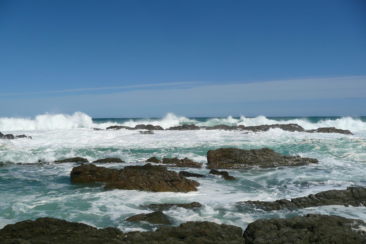 รูปถ่าย แอฟริกาใต้(South Africa) อุทยานแห่งชาติซิตซิคัมมา(Tsitsikamma National Park) 2008-09 297