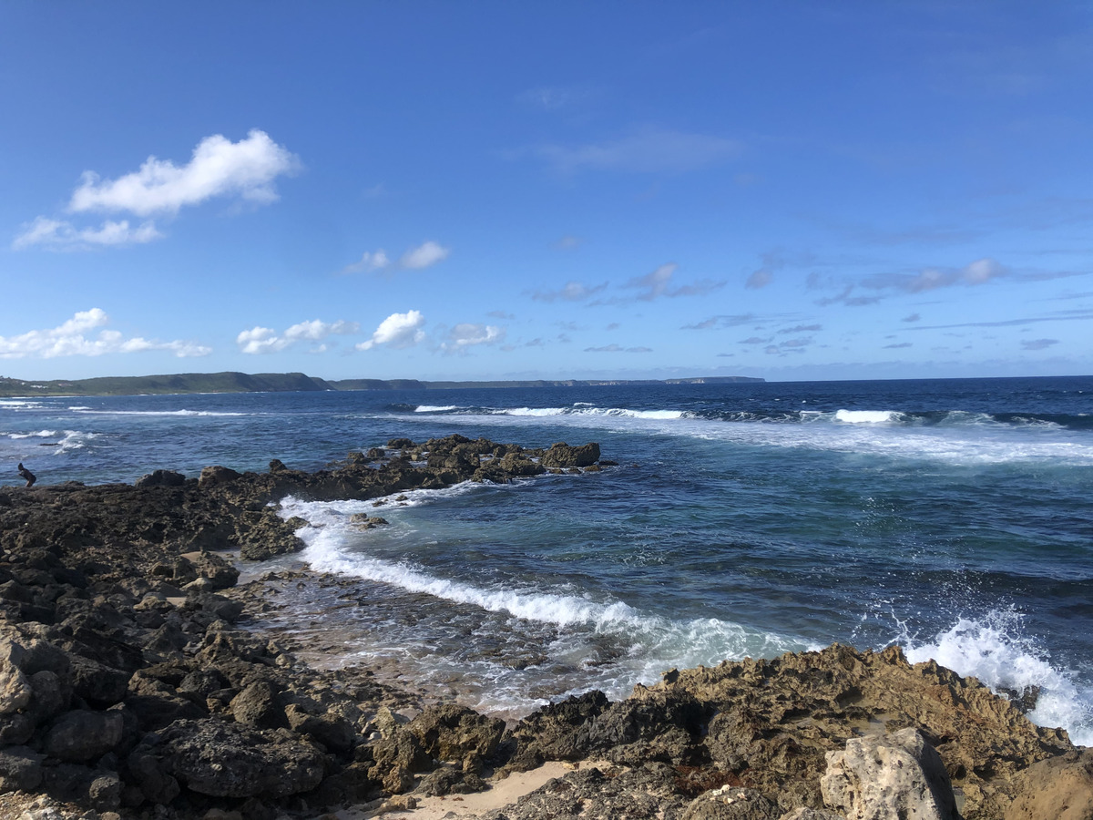 รูปถ่าย กวาเดอลูป(Guadeloupe) เลอมูล(Le Moule) 2021-02 2