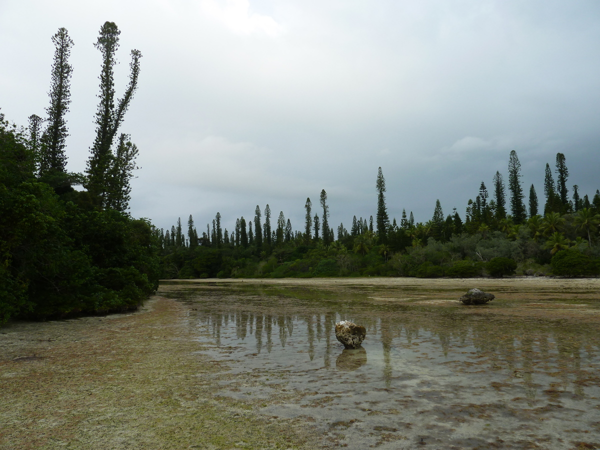 รูปถ่าย นิวแคลิโดเนีย(New Caledonia) เกาะต้นสน(Ile des pins) อ่าวโอโร(Oro Bay) 2010-05 61