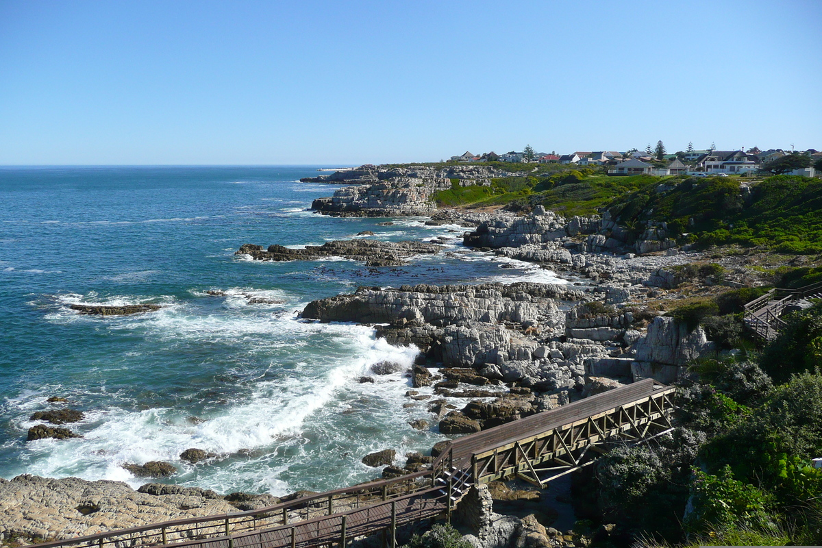 รูปถ่าย แอฟริกาใต้(South Africa) เฮอร์มานัส(Harmanus) 2008-09 294