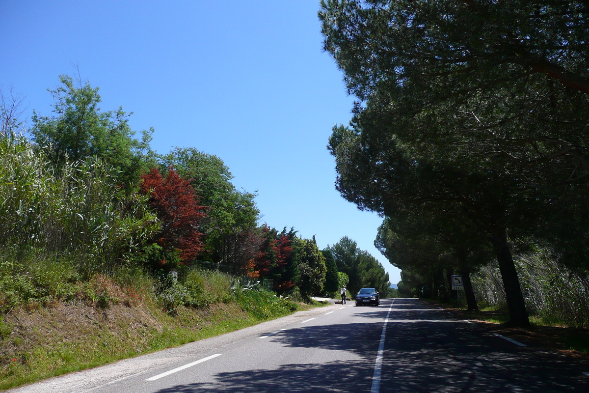 รูปถ่าย ฝรั่งเศส(France) เฟรนช์ริวิเอรา(French Riviera) คาบสมุทรอีแยร์(Hyeres peninsula) 2008-05 13