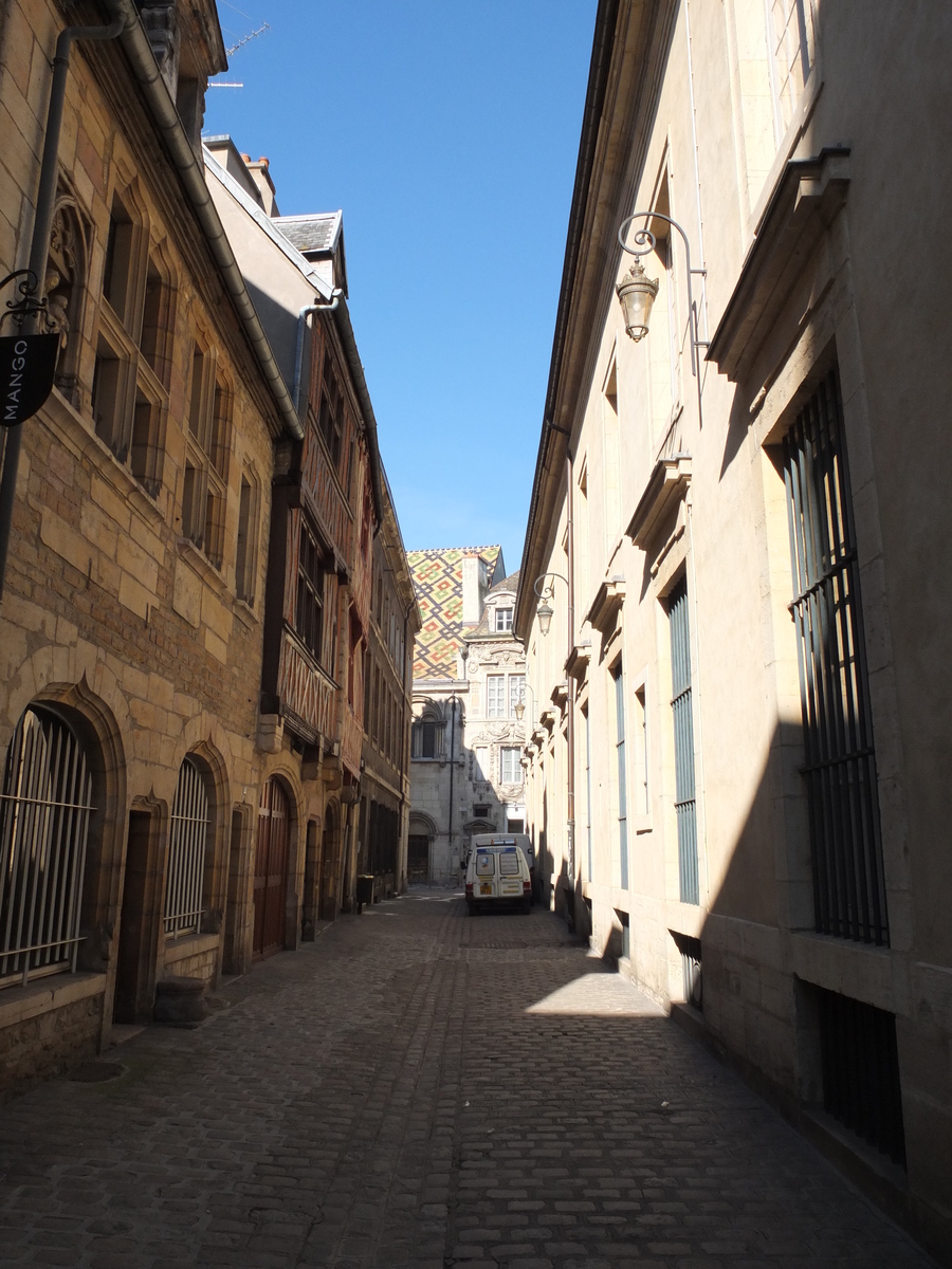 รูปถ่าย ฝรั่งเศส(France) ดีฌง(Dijon) 2012-02 62
