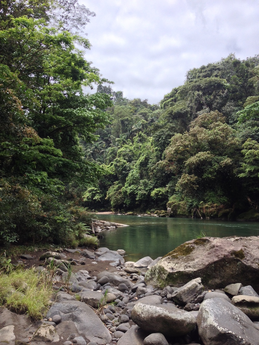 รูปถ่าย คอสตาริกา(Costa Rica) แม่น้ำปากัวเร(Pacuare River) 2015-03 252