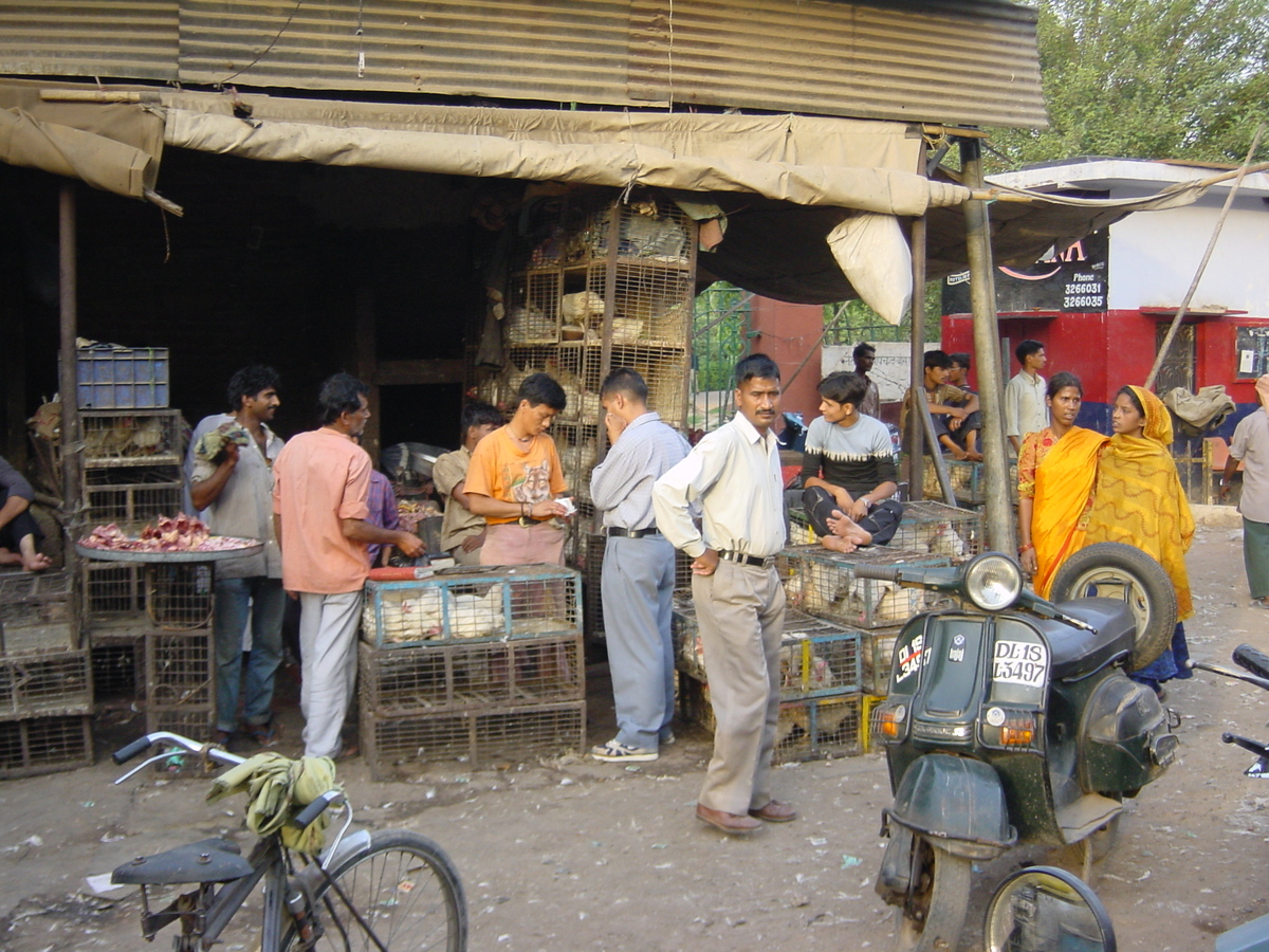 รูปถ่าย อินเดีย(India) เดลี(Delhi) เดลีเก่า(Old Delhi) 2003-05 11