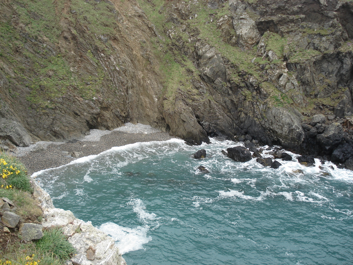 รูปถ่าย อังกฤษ(United Kingdom) เปมโบรคเชอร์(Pembrokeshire) มาร์ตินส์เฮเวน(Martins Havens) 2006-05 25