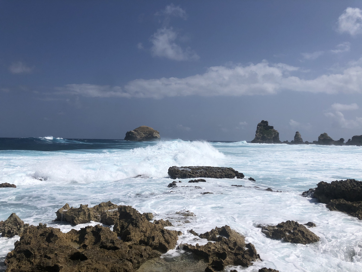 รูปถ่าย กวาเดอลูป(Guadeloupe) แหลมคาสเซิลพอยต์(Castle Point) 2021-02 34