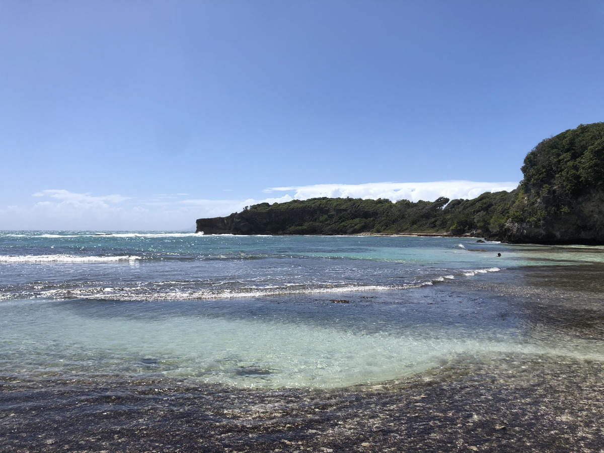 รูปถ่าย กวาเดอลูป(Guadeloupe) แหลมคาสเซิลพอยต์(Castle Point) 2021-02 108
