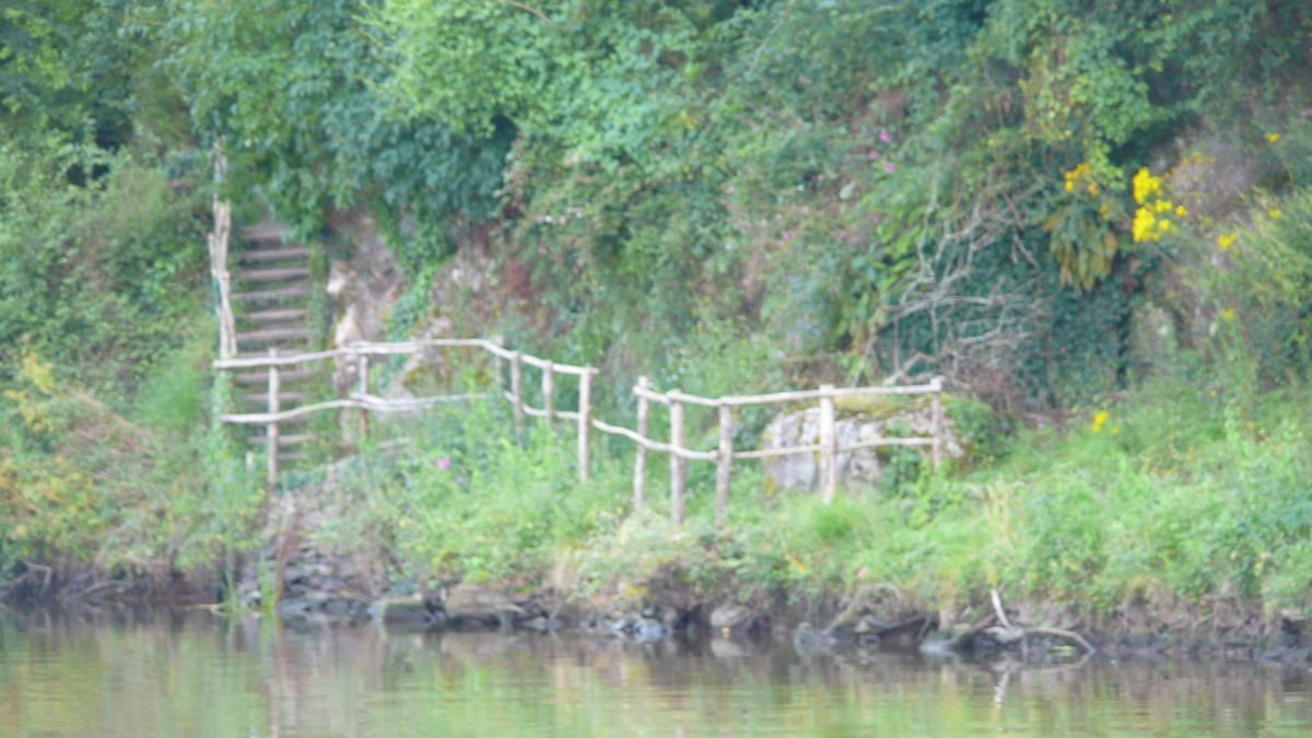 รูปถ่าย ฝรั่งเศส(France) ลาโรช-แบร์นาร์(La Roche Bernard) 2007-07 21