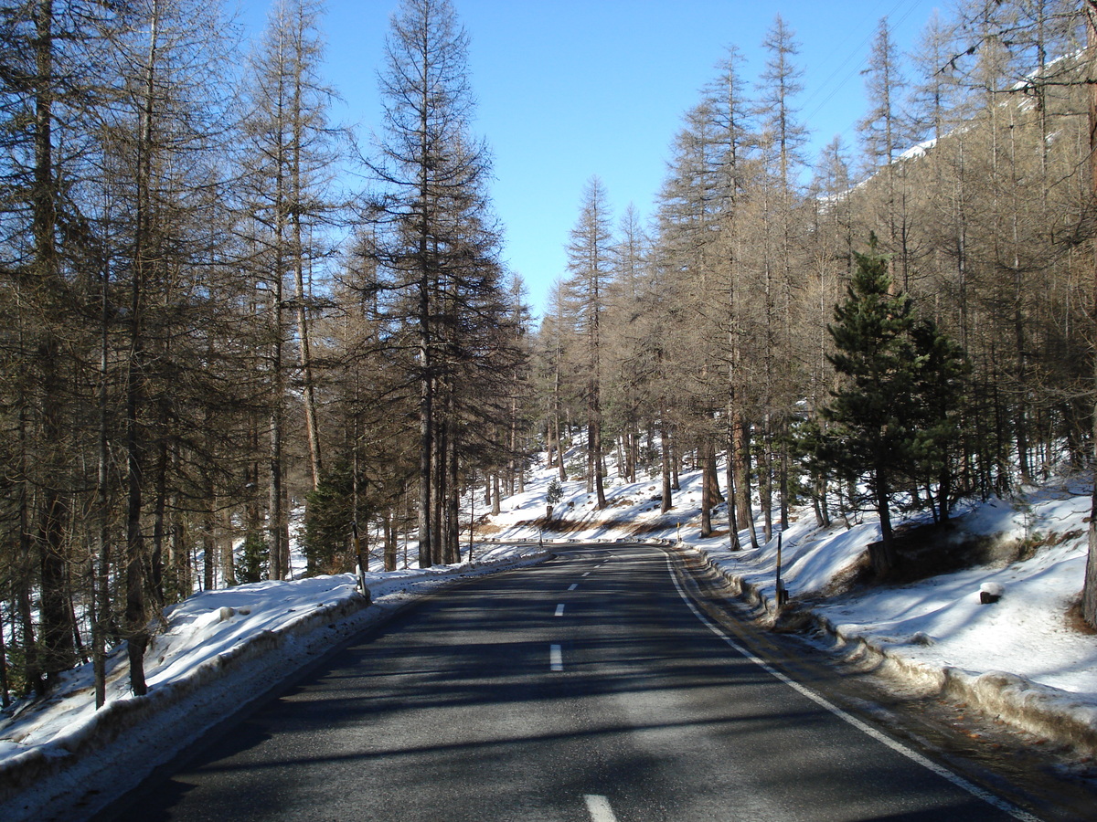 รูปถ่าย สวิสเซอร์แลนด์(Switzerland) จากปอนเตรซีนาไปลาโกเบียนโก(From Pontresina to Lago Bianco) 2007-01 74