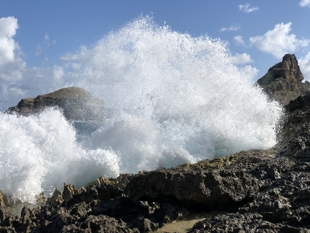 รูปถ่าย กวาเดอลูป(Guadeloupe) แหลมคาสเซิลพอยต์(Castle Point) 2021-02 23