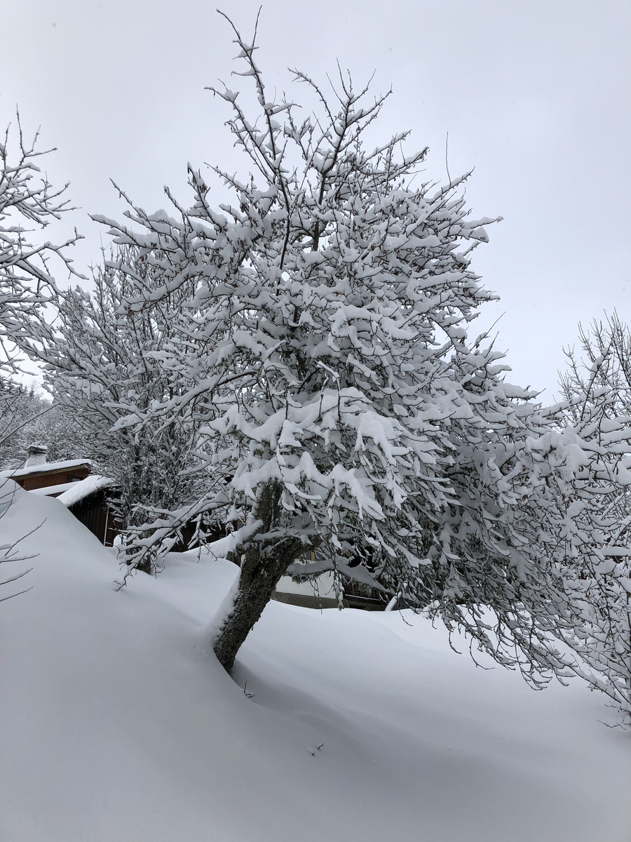 รูปถ่าย ฝรั่งเศส(France) ลากลูซา(La Clusaz) 2017-12 281