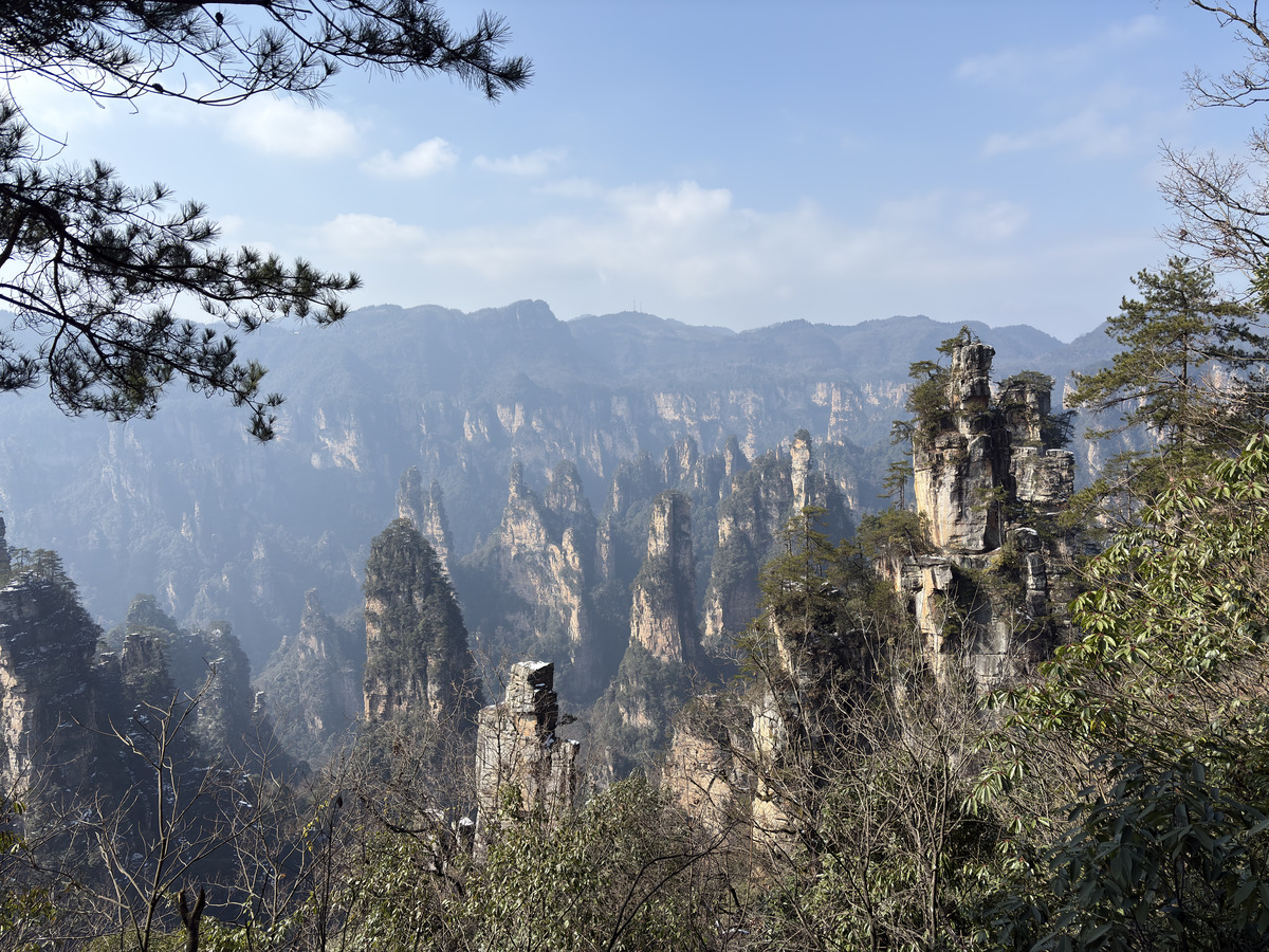 รูปถ่าย จีน(China) จางเจียเจี้ย(Zhangjiajie) ภูเขาเทียนจื่อ(Tianzi Mountain) 2026-01 74