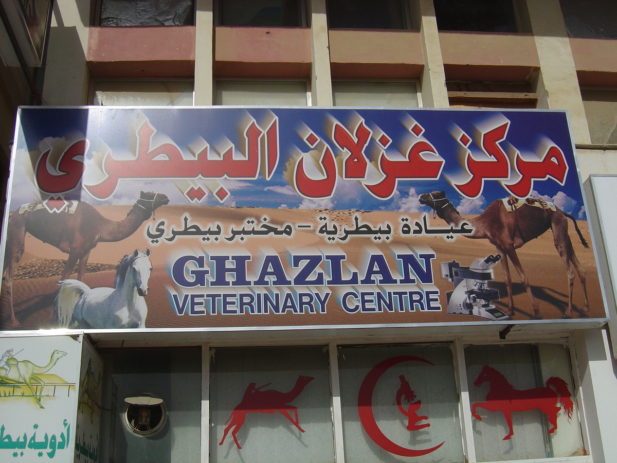 รูปถ่าย สหรัฐอาหรับเอมิเรตส์(United Arab Emirates) อาเลอิน(Al Ain) 2005-03 74