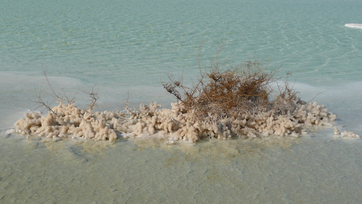 รูปถ่าย อิสราเอล(Israel) อึนโบเกก(Boqeq) 2007-06 103