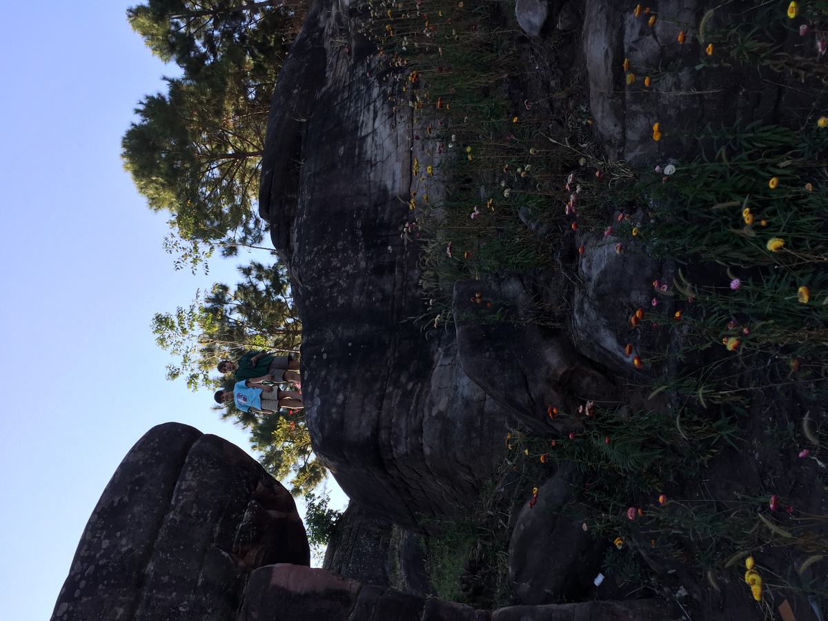 รูปถ่าย ไทย(Thailand) อุทยานแห่งชาติภูหินร่องกล้า(Phu Hin Rong Kla National Park) 2014-12 173