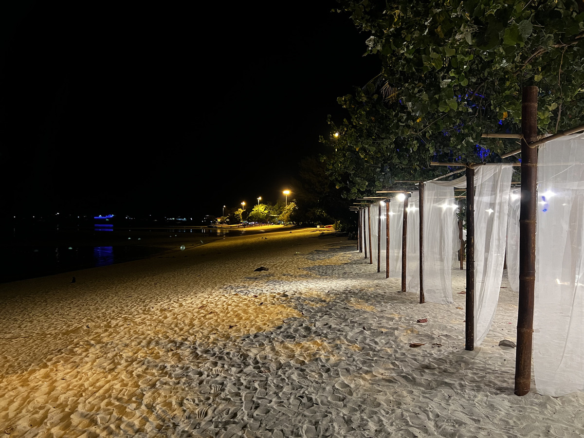 รูปถ่าย ไทย(Thailand) เกาะพีพีดอน(Ko Phi Phi Don) 2021-12 76