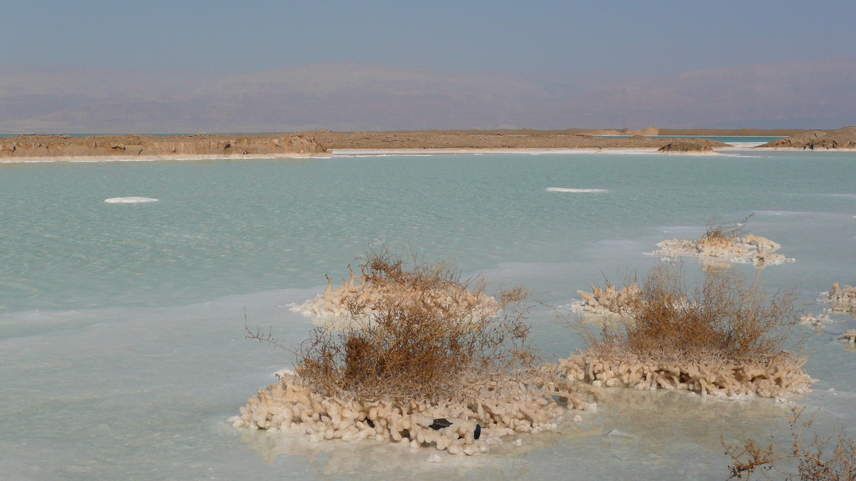 รูปถ่าย อิสราเอล(Israel) อึนโบเกก(Boqeq) 2007-06 125