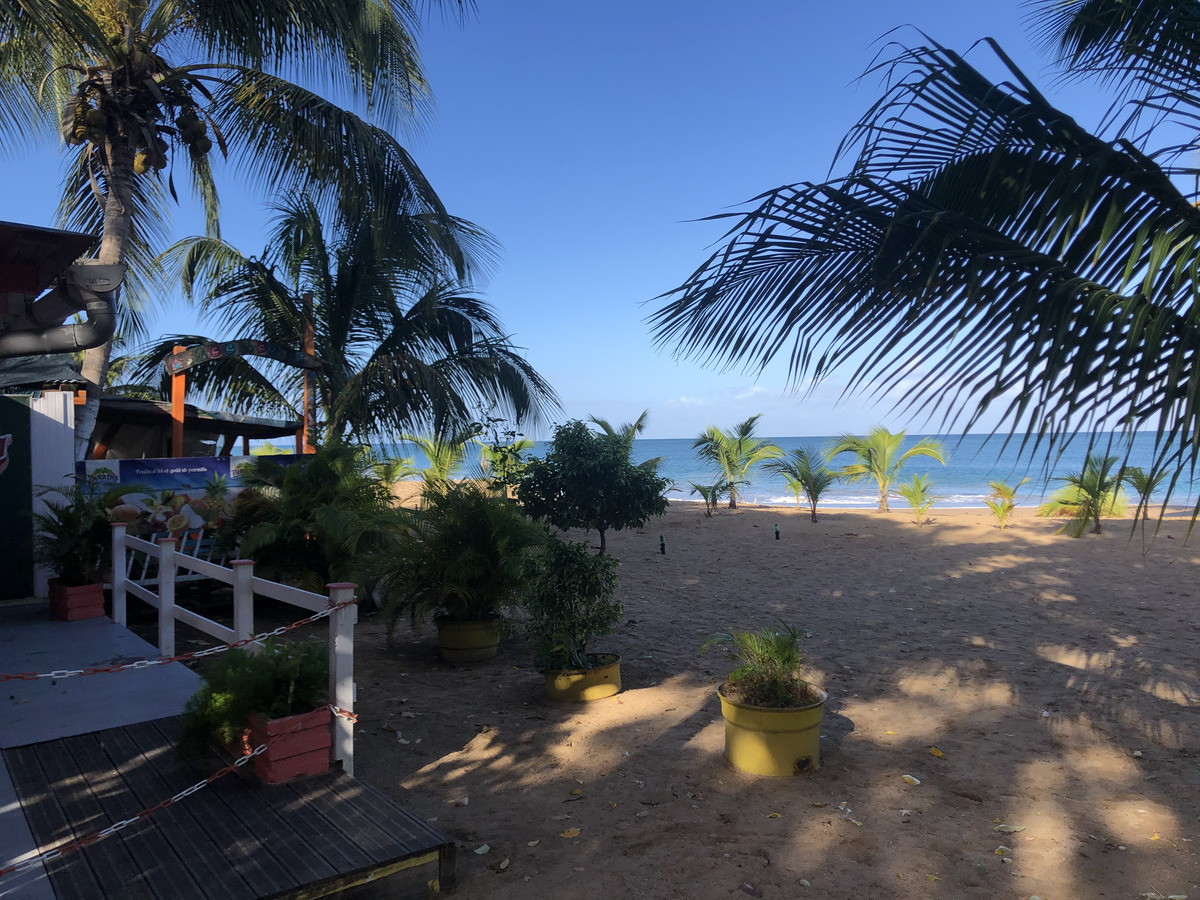 รูปถ่าย กวาเดอลูป(Guadeloupe) หาดลาแปร์ล(La Perle Beach) 2021-02 75