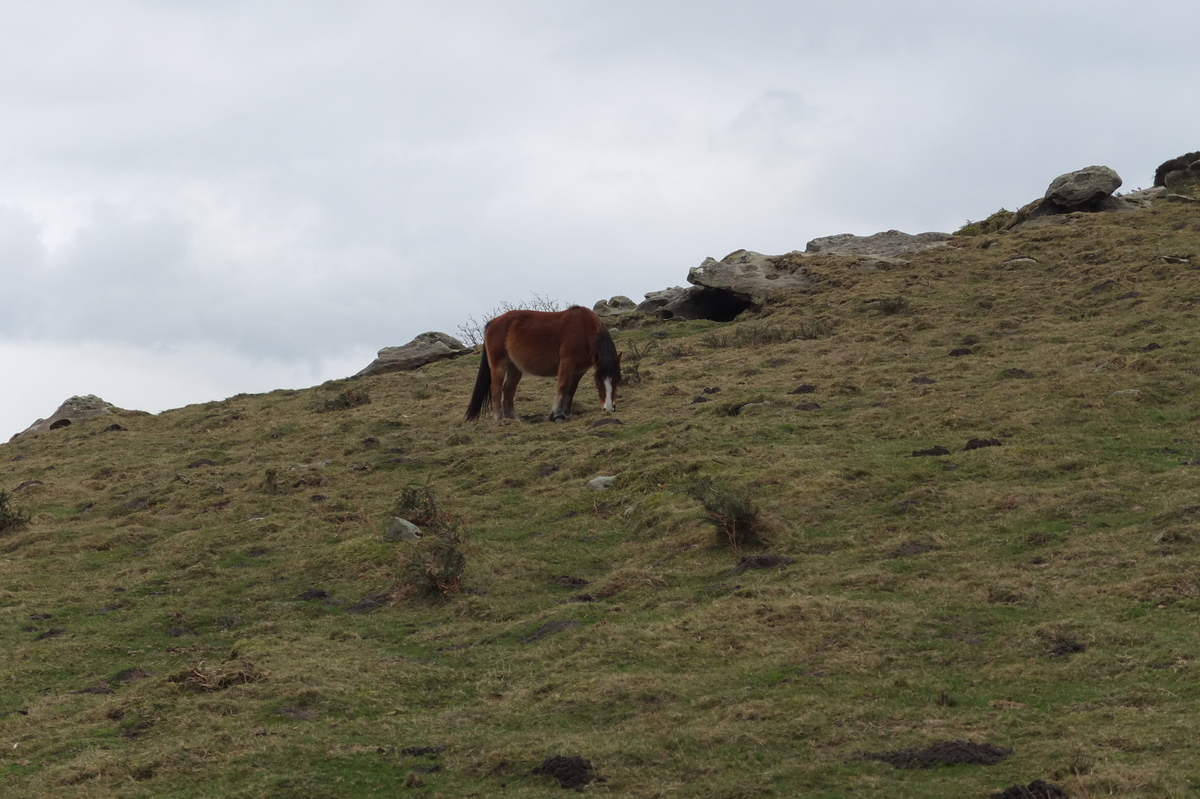 รูปถ่าย ฝรั่งเศส(France) แคว้นบาสก์(Basque Country) 2013-01 115