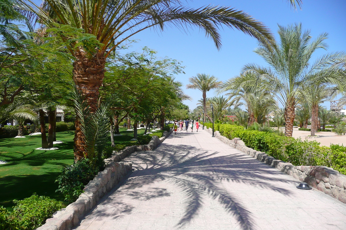 รูปถ่าย อียิปต์(Egypt) ชาร์มเอลชีค(Sharm el Sheikh) 2008-06 32