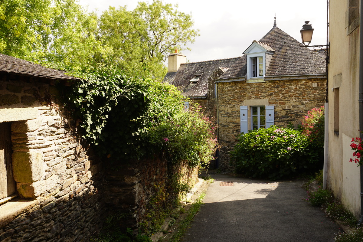 รูปถ่าย ฝรั่งเศส(France) รอชฟอร์-อ็อง-แตร์(Rochefort en terre) 2017-08 62