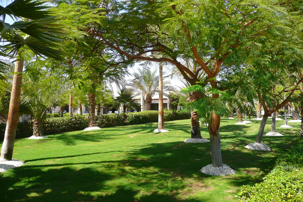 รูปถ่าย อียิปต์(Egypt) ชาร์มเอลชีค(Sharm el Sheikh) 2008-06 25