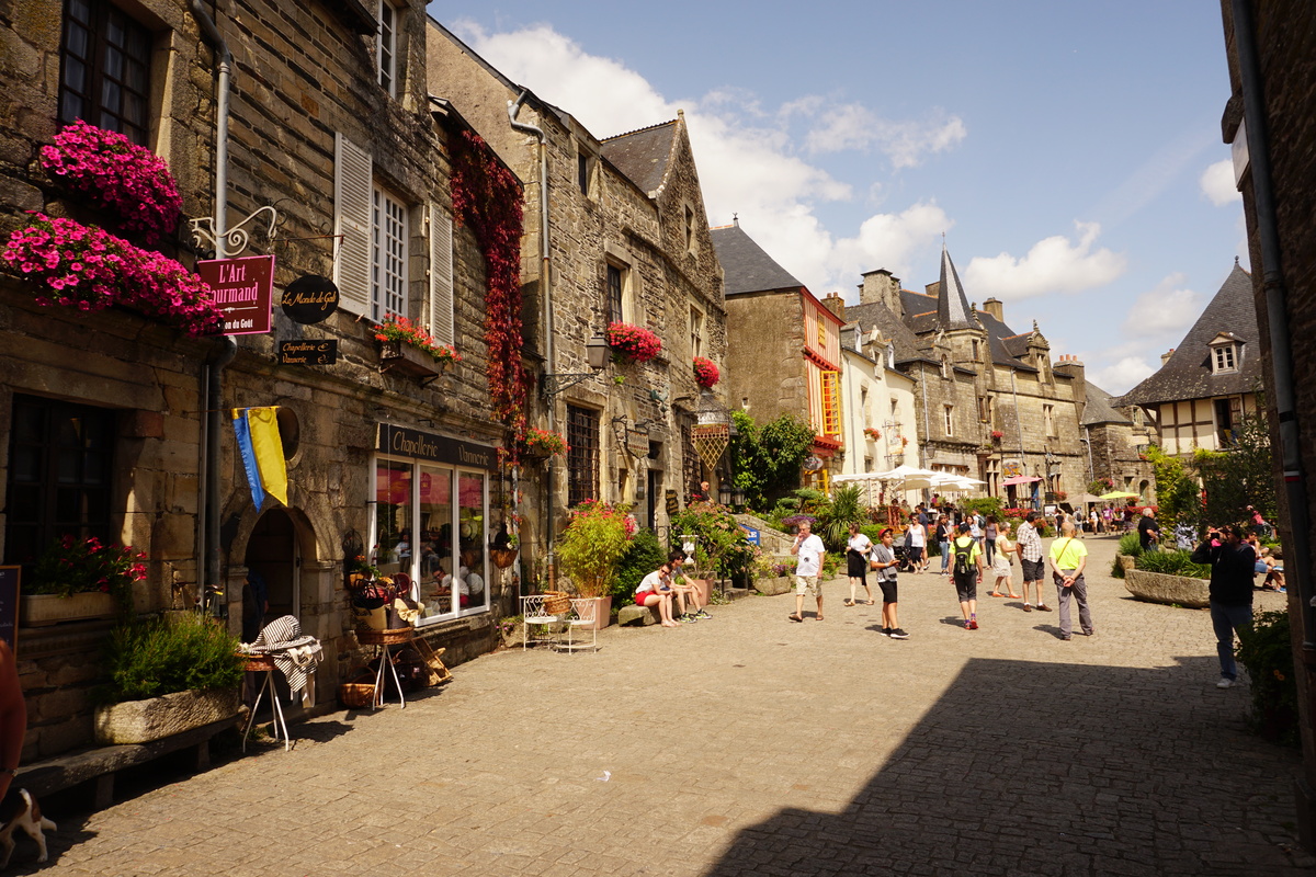 รูปถ่าย ฝรั่งเศส(France) รอชฟอร์-อ็อง-แตร์(Rochefort en terre) 2017-08 65
