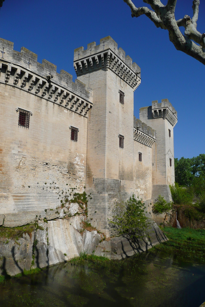 รูปถ่าย ฝรั่งเศส(France) ตาราสกง(Tarascon) ปราสาทตาราสกง(Tarascon Castle) 2008-04 99