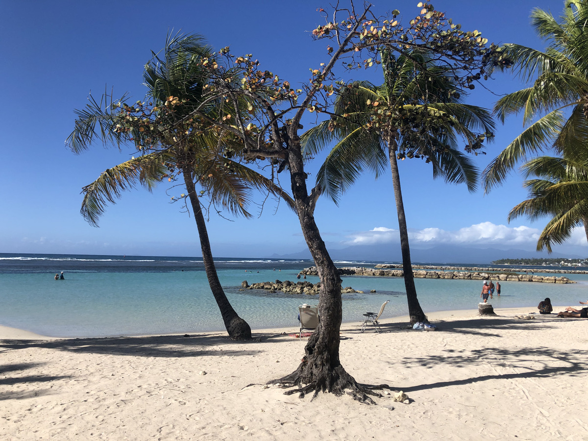 รูปถ่าย กวาเดอลูป(Guadeloupe) แซ็งตาน(Sainte Anne) 2021-02 77