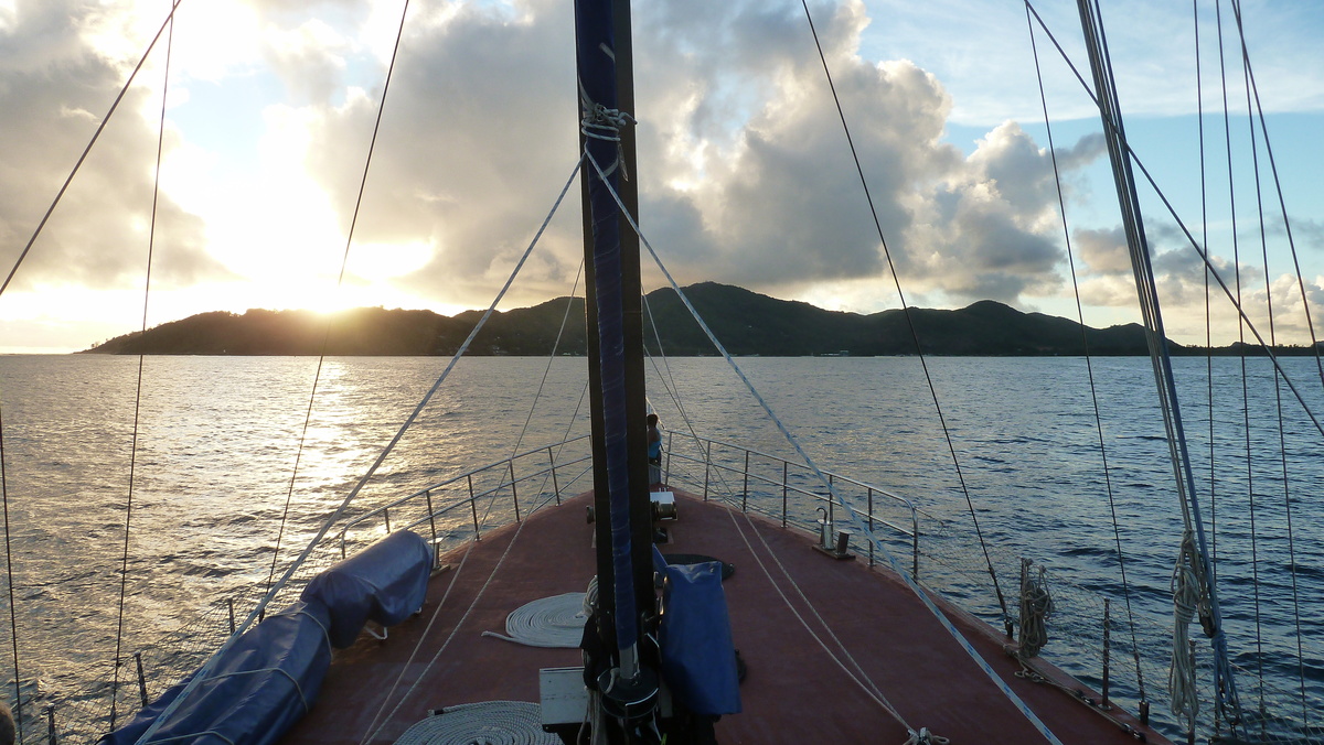 รูปถ่าย เซเชลส์(Seychelles) ซีสตาร์(Sea Star) 2011-10 69