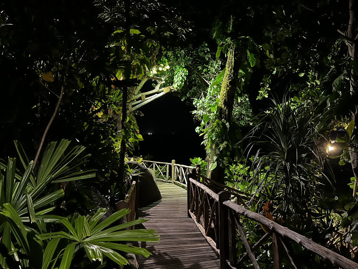 รูปถ่าย ไทย(Thailand) ภูเก็ต(Phuket) หาดกะรน(Karon Beach) ร้านอาหารออนเดอะร็อก(On the rock Restaurant) 2021-12 67