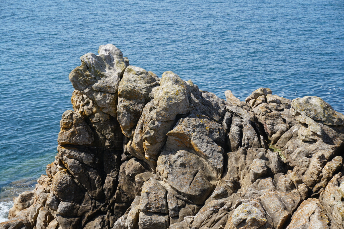 รูปถ่าย ฝรั่งเศส(France) เกาะเอดิก(Hoedic) 2016-08 8