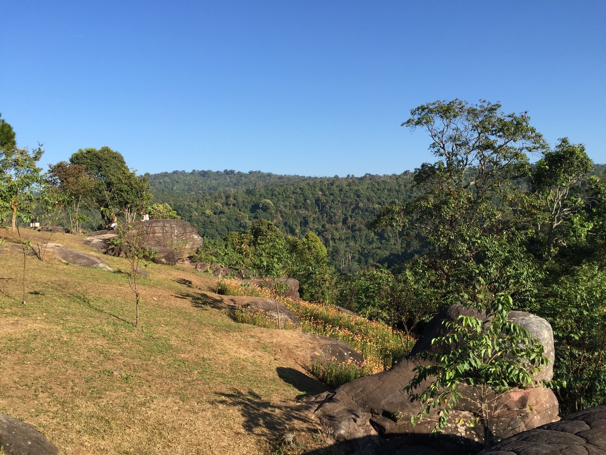 รูปถ่าย ไทย(Thailand) อุทยานแห่งชาติภูหินร่องกล้า(Phu Hin Rong Kla National Park) 2014-12 183
