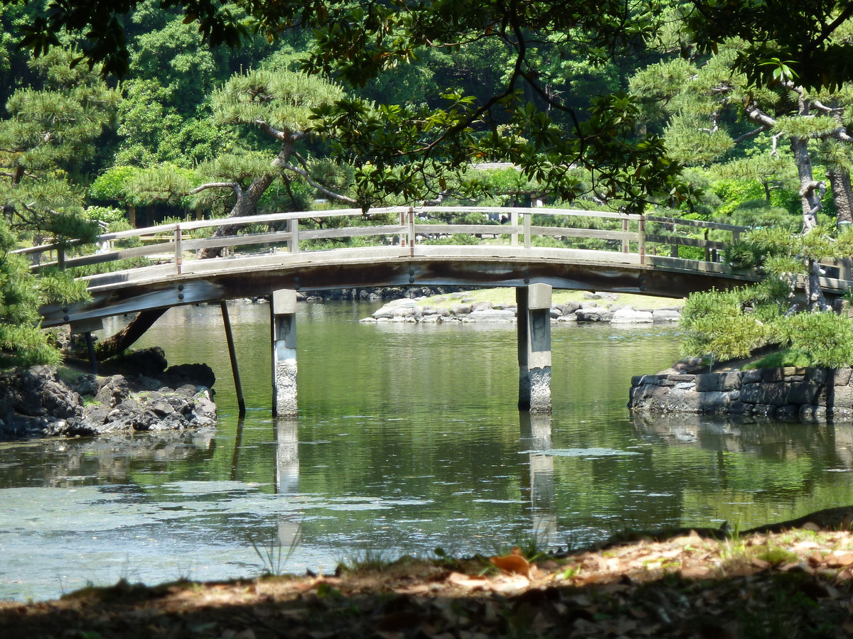 รูปถ่าย ญี่ปุ่น(Japan) โตเกียว(Tokyo) สวนฮามะริคิว(Hama rikyu Gardens) 2010-06 111